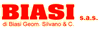 biasi edilizia srl