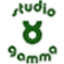 studio gamma srl