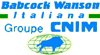 babcock wanson italiana spa