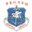 pegaso service group