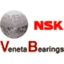 veneta bearings srl