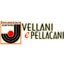 vellani e pellacani srl