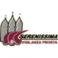 vigilanza privata serenissima cooperativa
