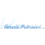vetreria paltrinieri srl