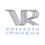 vetreria romagna srl
