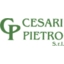 cesari pietro srl