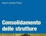 : Consolidamento delle strutture -   Guida ai criteri, ai materiali e alle tecniche piu' utilizzati
