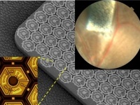 : Gli occhiali fotovoltaici del futuro faranno riacquistare la vista? -   Grazie a uno studio americano, applicata la tecnologia a una protesi visiva