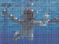 grafica: La storia della musica in 'swatch graphics' -   Le grandi copertine del rock rivivono per mano di un coraggioso sperimentatore del colore