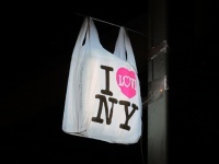 Mono: Takeshi Miyakawa: false bombe a New York - Arrestato per aver posizionato 