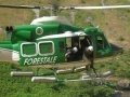 ambiente: I reati ambientali aumentano del 16% -   Nei dati sugli interventi del Corpo Forestale dello Stato il raddoppio degli incendi boschivi e la gestione illegale dello smaltimento rifiuti