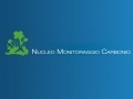 Ambiente: Emissioni di gas serra: nasce il nucleo di monitoraggio del carbonio - Presentati anche i risultati dell'ultimo Infc, realizzato dal Corpo forestale e dal Cra-Mpf di Trento