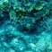 Idrogeno dall'energia solare grazie a un catalizzatore artificiale