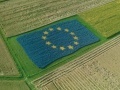 News: La Pac alla Corte dei conti europea: obiettivo non centrato - Meccanismi troppo complessi, aumento di costi di gestione del 15% e contributi Ue piu' cari a livello burocratico