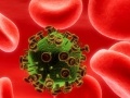 News: Scoperta la molecola 'cavallo di Troia' dell'Hiv - Una ricerca spagnola identifica i gangliosidi, lipidi presenti nella membrana del virus, responsabili della propagazione