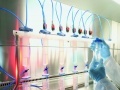News: Biotecnologie in Italia: crescono imprese (+2,5%) e fatturato (+4%) - Segnali positivi per il settore nel rapporto presentato da Assobiotec
