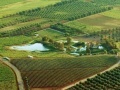 News: Le partite Iva in agricoltura aumentano del 14,3% - � un risultato doppio rispetto alla media di tutti i settori produttivi (+7,4%). Ma crescono anche i fallimenti: 13.335 imprese chiuse nel primo trimestre 