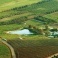 Le partite Iva in agricoltura aumentano del 14,3%