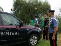 agroalimentare: Frodi alimentari: 7mila tonnellate sequestrate dai Nac -   False denominazioni protette, mais ogm e olio 