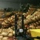 Dal terremoto in Emilia, danni all'agricoltura