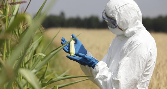 Il biotech e' il futuro dell'agricoltura, secondo Assobiotec Il biotech e' il futuro dell'agricoltura, secondo Assobiotec