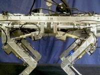 La ricerca in Italia: Il robot a quattro zampe per le emergenze - Ispirato al movimento reale di cani e cavalli, HyQ e' il nuovo risultato dell'eccellenza robotica italiana 