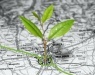 : 100 progetti italiani per le 'citta' verdi' -   Presentate al Politecnico di Milano le iniziative per l'innovazione e la ricerca nel campo della sostenibilita' e dell'efficienza energetica finanziate dal ministero dell'Ambiente